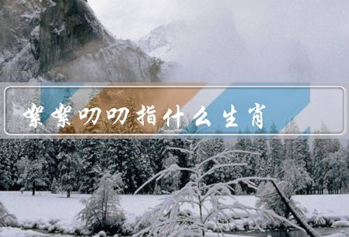 絮絮叨叨指什么生肖