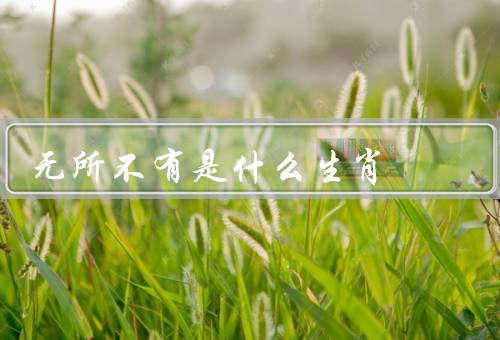 无所不有是什么生肖（特点、优势、发展建议）