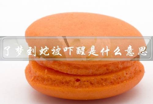 天亮了梦到蛇被吓醒是什么意思（潜意识的表达／对未知的恐惧）