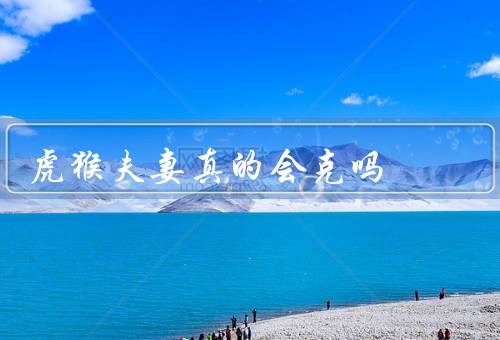 虎猴夫妻真的会克死吗（传说／是否真的会克死／象征意义）