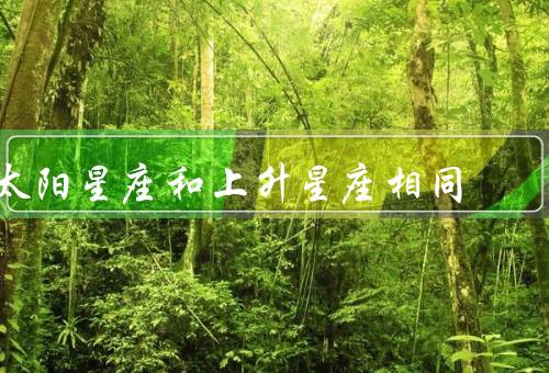 太阳星座和上升星座相同，内在与外在的和谐／突出的个性特点
