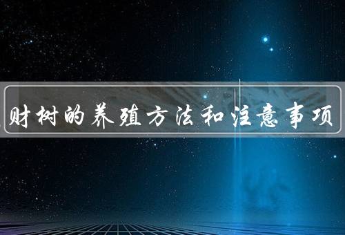 小发财树的养殖方法和注意事项（光照／水分／温度）