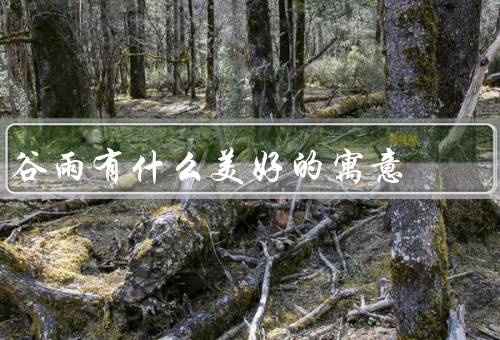 谷雨有什么美好的寓意（丰收时刻／春意盎然／生机勃勃）