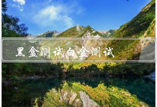 黑盒测试白盒测试（白盒、与白盒测试的比较）