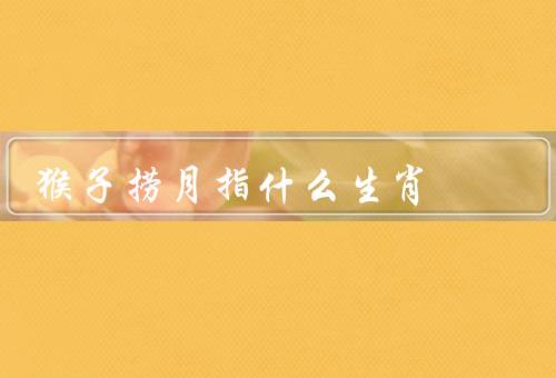 猴子捞月指什么生肖，寓意／生肖的特点／与猴子生肖的联系