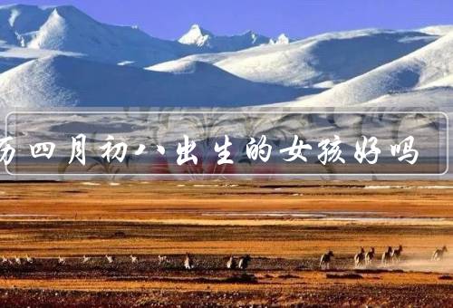 农历四月初八出生的女孩好吗（命运／性格／事业）