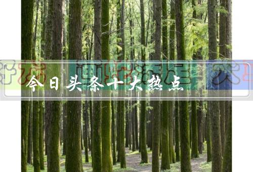 今日头条十大热点，疫情防控／明星八卦／科技