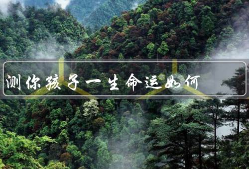 测你孩子一生命运如何，性格特点／能力和天赋／环境和机遇