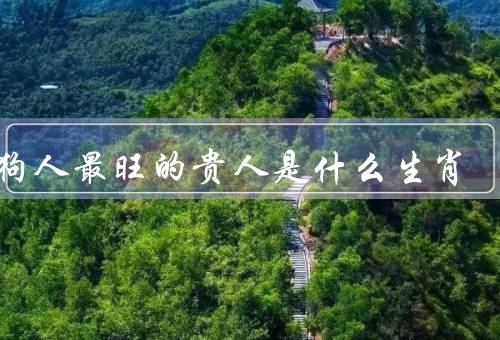 属狗人最旺的贵人是什么生肖，属狗人和属马人的关系