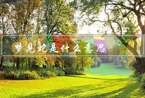 梦见蛇是什么意思（梦见蛇的常见解析／不同蛇的象征意义）