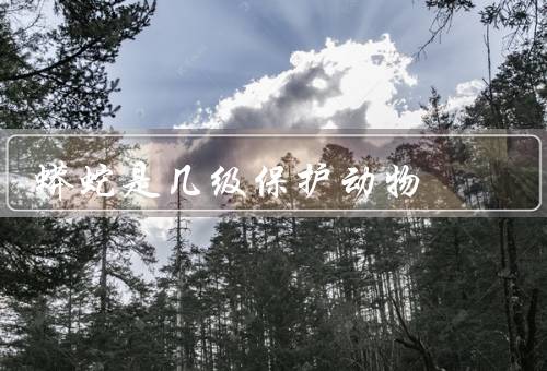 蟒蛇是几级保护动物，特征／分布／保护状况