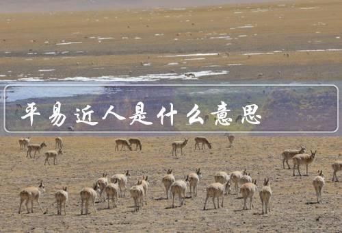 平易近人是什么意思，特征／重要性／如何成为人