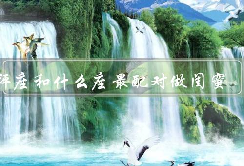 天秤座和什么座最配对做闺蜜（天秤座和双子座的相似性）
