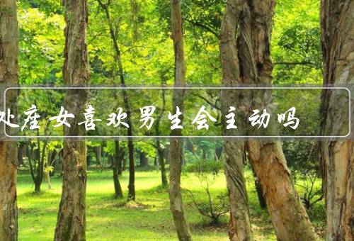 处座女喜欢男生会主动吗（内向的处座女、外向的处座女）
