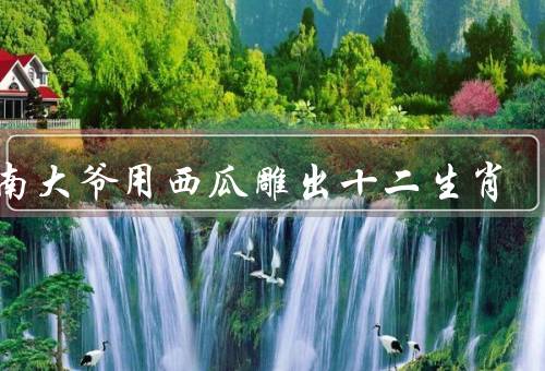 河南大爷用西瓜雕出十二生肖，西瓜雕刻艺术、十二生肖的灵动