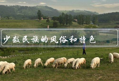 少数民族的风俗和特色，藏族／哈萨克族／壮族