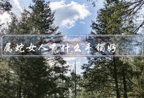 属蛇女人戴什么手镯好（红玛瑙手镯／翡翠手镯／银手镯）