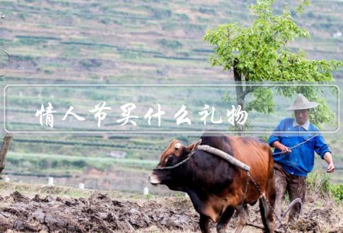 情人节买什么礼物（送花／巧克力／手表）