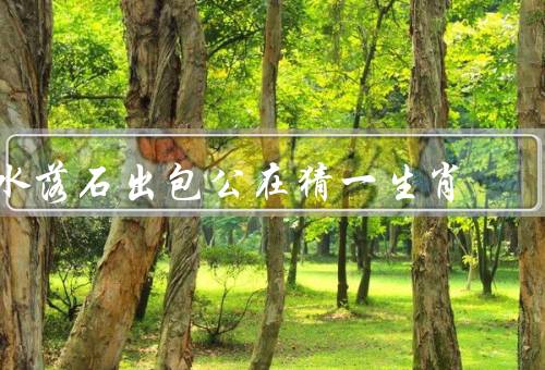 水落石出包公在猜一生肖，水落石出、生肖的传说、传承与发展
