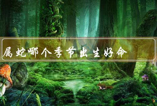 属蛇哪个季节出生好命（性格独立／聪明智慧／机智灵活）