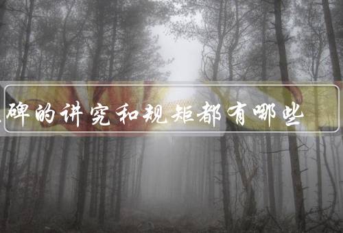 立碑的讲究和规矩都有哪些（碑文的撰写、碑石的选材）