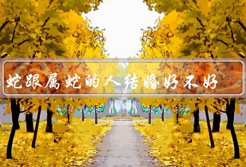 属蛇跟属蛇的人结婚好不好，相似性格、共同兴趣爱好