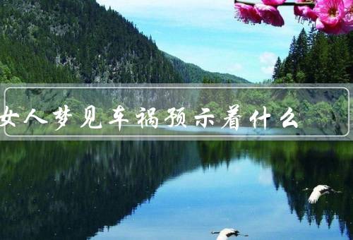 女人梦见车祸预示着什么（内心压力、身体健康、生活安全）