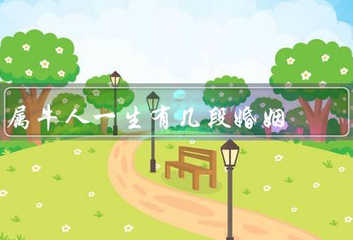 属牛人一生有几段婚姻，初婚／再婚／晚婚