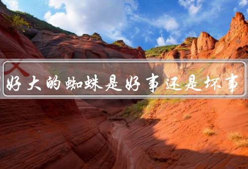 梦到好大的蜘蛛是好事还是坏事，象征着不幸、预示着好运