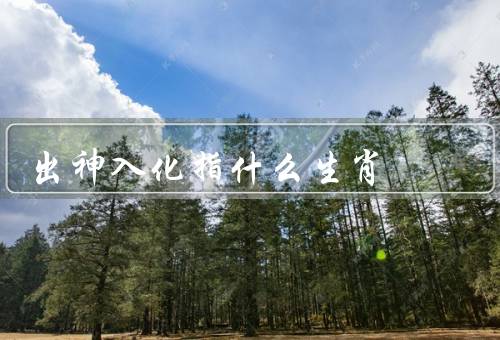出神入化指什么生肖（智慧超群的生肖、技艺精湛的生肖）
