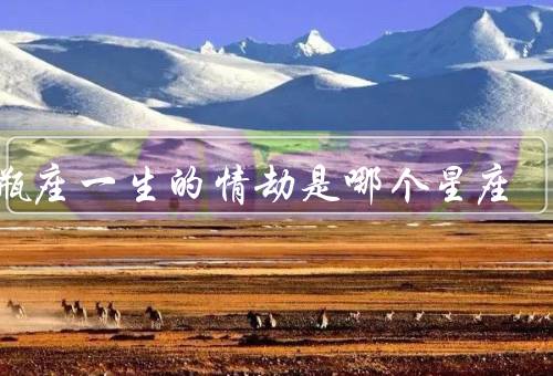 水瓶座一生的情劫是哪个星座，迷离吸引、浪漫、起伏与