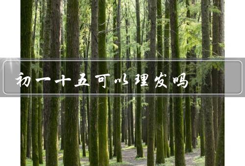 初一十五可以理发吗（由来、理发禁忌、可以理发吗？）