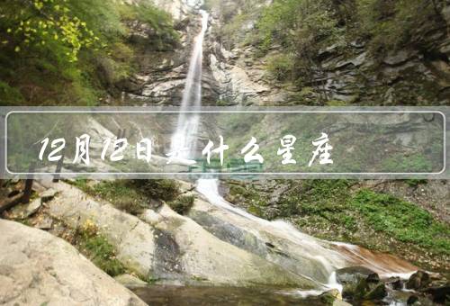 12月12日是什么星座，特点／人际关系／事业和爱情
