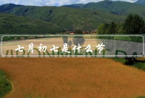 七月初七是什么节，传说／习俗／浪漫氛围