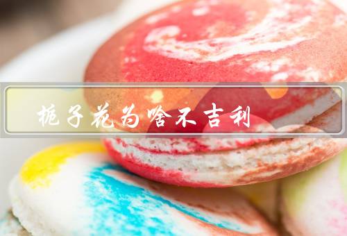 栀子花为啥不吉利，亡有关的象征／破坏婚姻和恋爱的象征