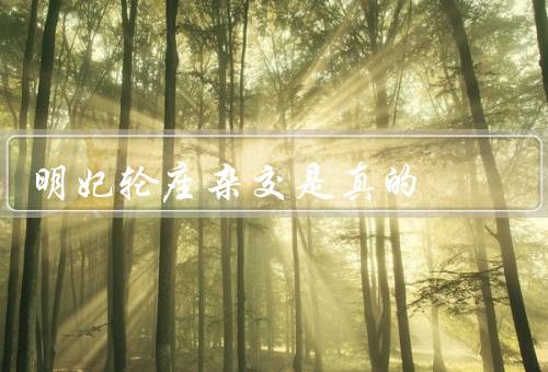 密宗明妃轮座杂交是真的，密宗明妃轮座杂交／历史和文化背景