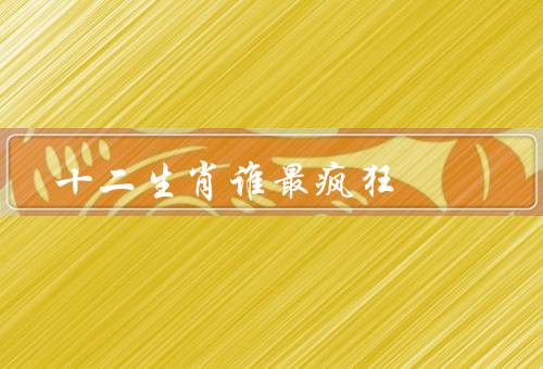 十二生肖谁最疯狂，老鼠／龙／猴
