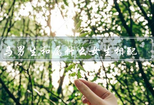 属马男生和属什么女生相配，特点／属鸡女生的特点