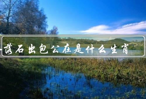 水落石出包公在是什么生肖（生肖、故事、形象）