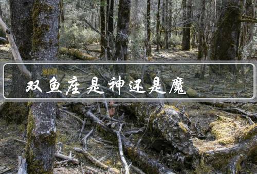 双鱼座是神还是魔，神圣之处、魔幻之处、和谐统一