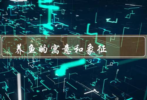 养鱼的寓意和象征风水，财富和好运、平衡家庭关系、提升生活品质