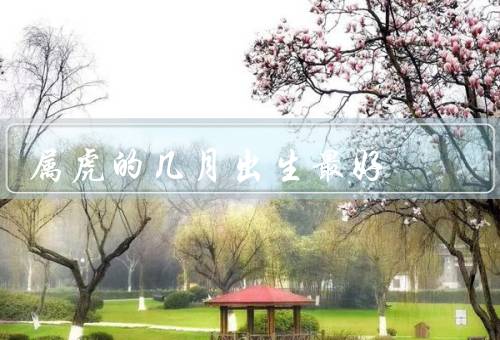 属虎的几月出生最好（正月出生／二月出生／其他月份）