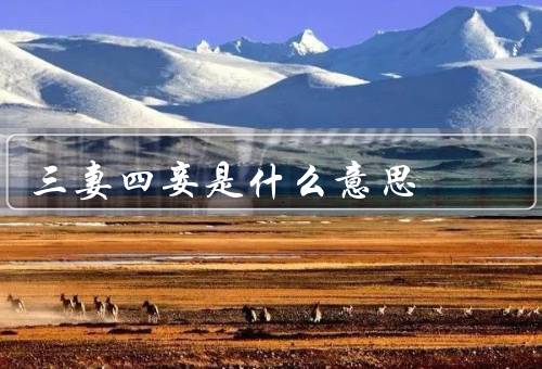 三妻四妾是什么意思（三妻四妾的历史渊源／现代对三妻四妾的看法）