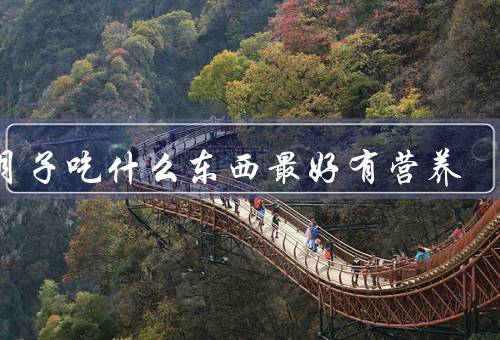 坐月子吃什么东西最好有营养，鸡蛋／瘦肉／豆类