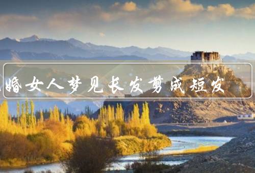 已婚女人梦见长发剪成短发（婚姻压力／自我认知的变化）