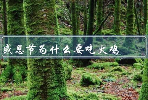 感恩节为什么要吃火鸡（历史／传统／象征意义）