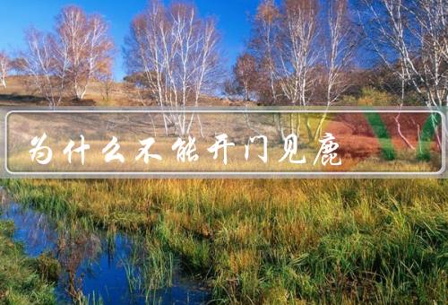 为什么不能开门见鹿，鹿的天性、人类与鹿的冲突、安全问题