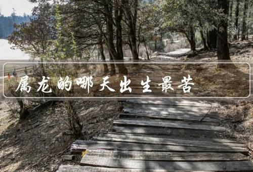 属龙的哪天出生最苦（初一出生最苦／七月出生最苦／十二月出生最苦）