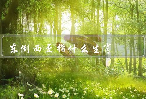 东倒西歪指什么生肖（东倒西歪、善于变化、其他特点）
