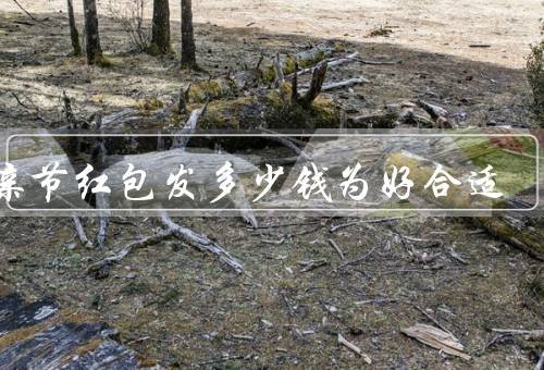 父亲节红包发多少钱为好合适（红包金额的意义、家庭经济状况的考虑）